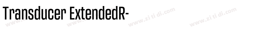 Transducer ExtendedR字体转换